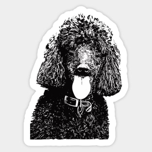 Standard Poodle Sticker